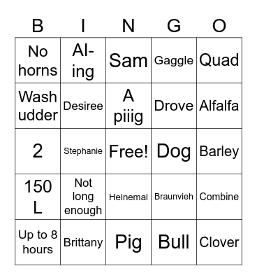 FDF Christmas Bingo Card