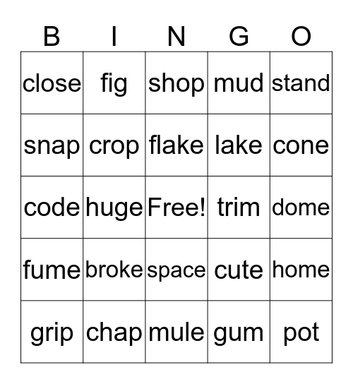 November Magic "e" Bingo Card