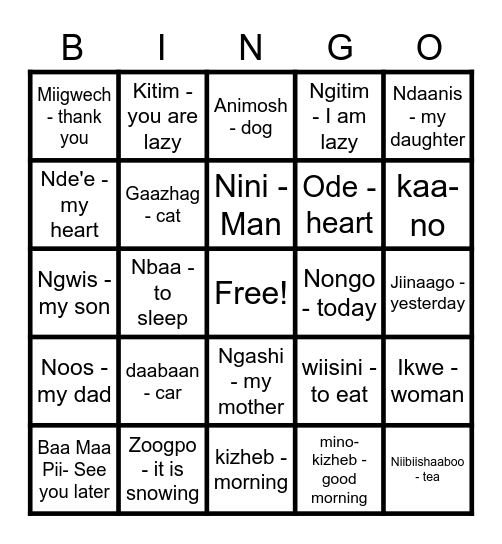 Anish Bingo Card