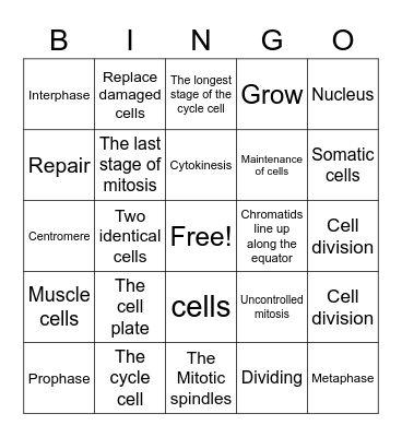 Mitosis Review Bingo Card