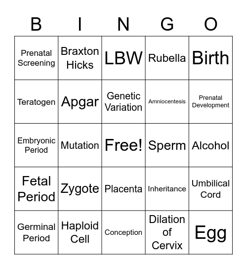 Prenatal Development Bingo Card