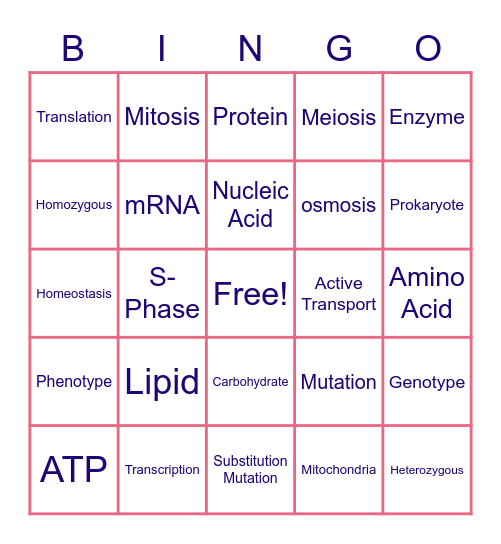 Fall Biology Review Bingo Card