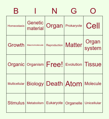 Bio Vocab Bingo Card