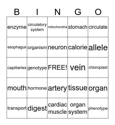 Vocabulary January 30 Bingo Card