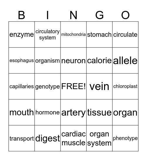 Vocabulary January 30 Bingo Card