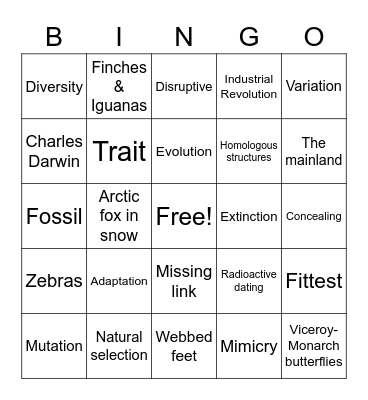 BioBingo! Topic: Evolution Bingo Card