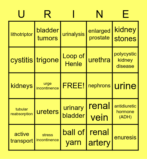 The Urninary System Bingo Card