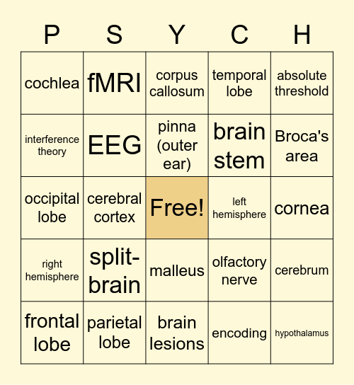PSYCH Final Exam Review Bingo Card