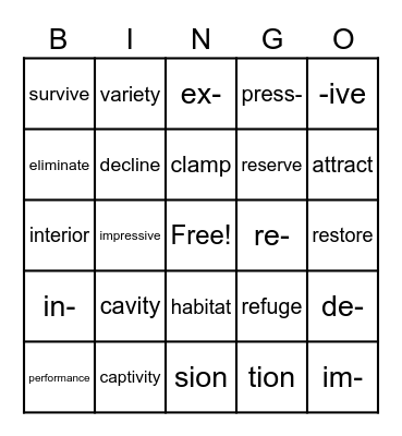 Feathered Friends Vocabulary Bingo Card