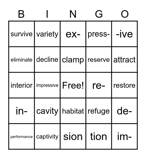 Feathered Friends Vocabulary Bingo Card