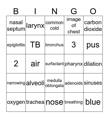 Respiratory System Bingo Card