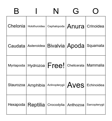 Bio-140: Animal Groups Bingo Card