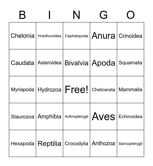 Bio-140: Animal Groups Bingo Card