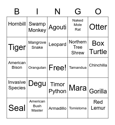 National Zoo Bingo Card