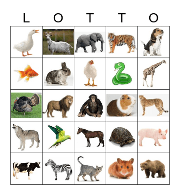 LOTTO - Les animaux Bingo Card