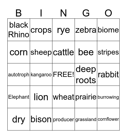 Prairie Words Bingo Card