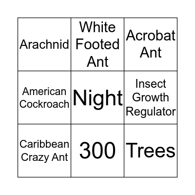 Sandpiper Bingo Card