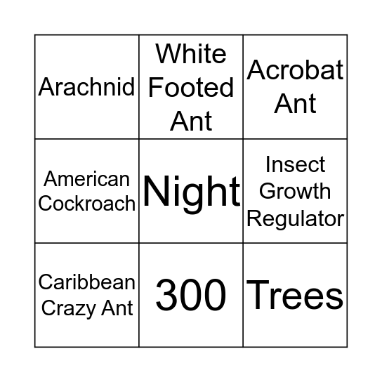 Sandpiper Bingo Card