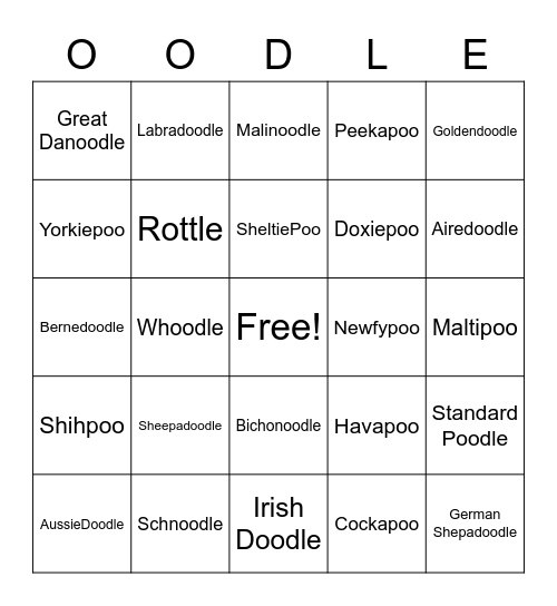 OODLE Bingo Card