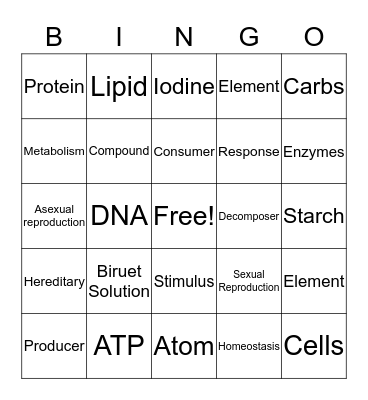 Chemistry of Life  Bingo Card