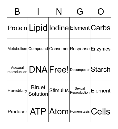 Chemistry of Life  Bingo Card