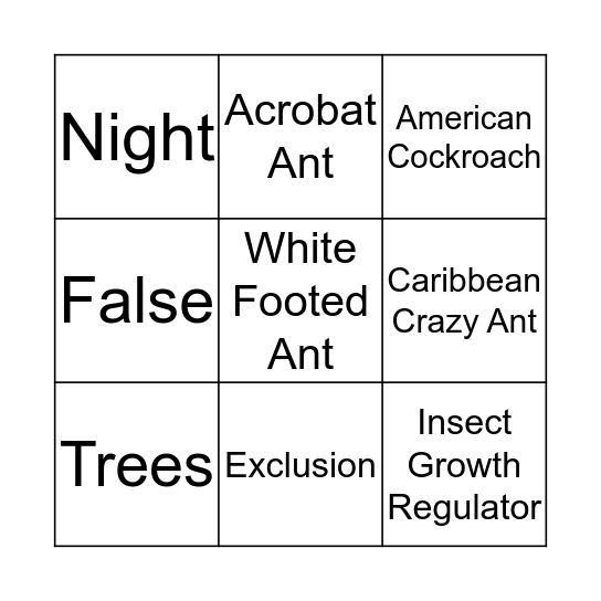 Sandpiper Bingo Card