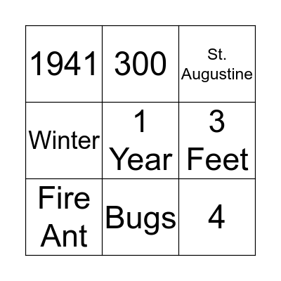 Sandpiper Bingo Card