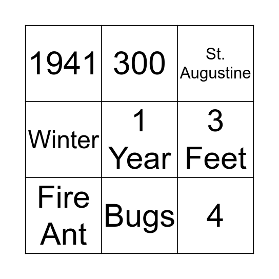 Sandpiper Bingo Card