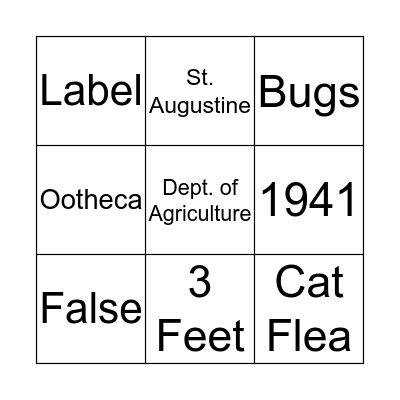 Sandpiper Bingo Card