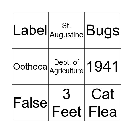 Sandpiper Bingo Card