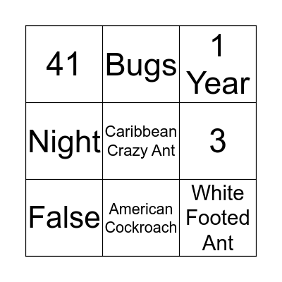 Sandpiper Bingo Card