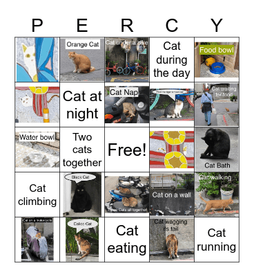 PERCY Bingo Card