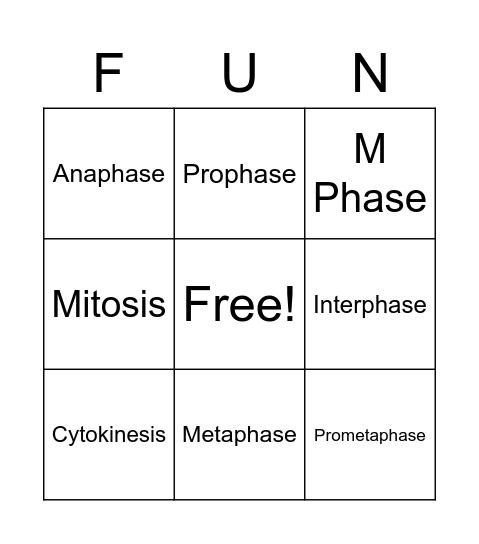 Mitosis Bingo Card