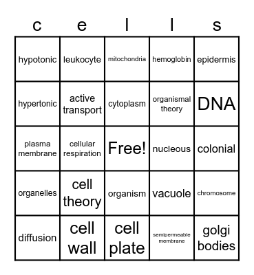 Biology Cell Bingo Card