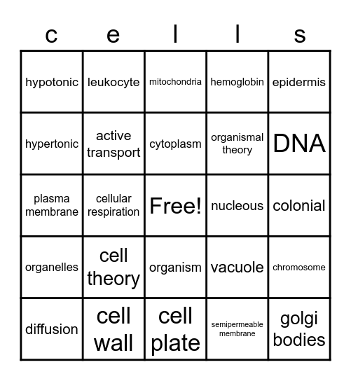 Biology Cell Bingo Card