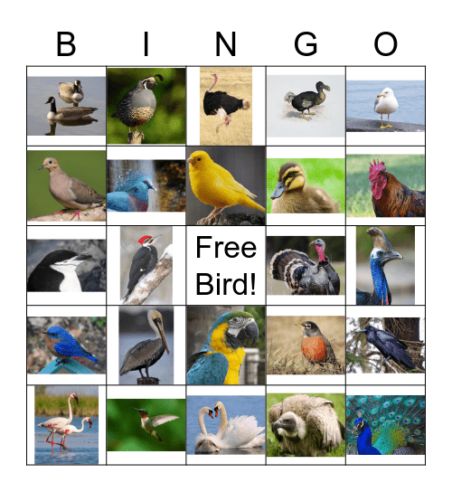 Bird Bingo Card