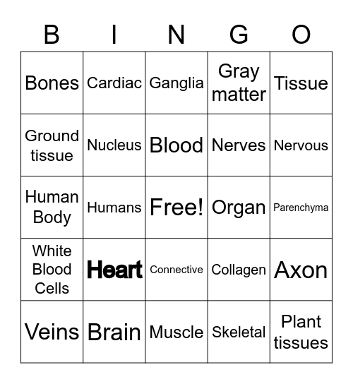 Histology Bingo Card