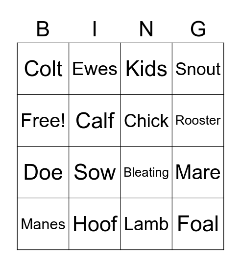 Farm Vocabulary Bingo Card