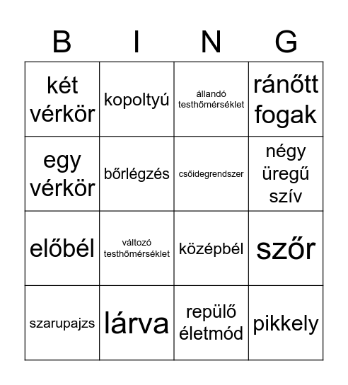 Gerincesek Bingo Card