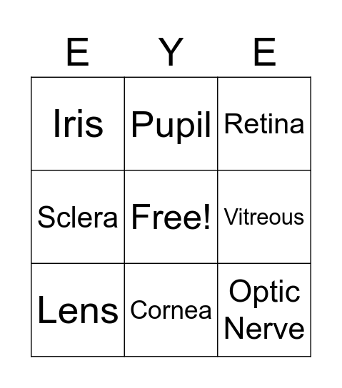 Parts of the eye Bingo Card