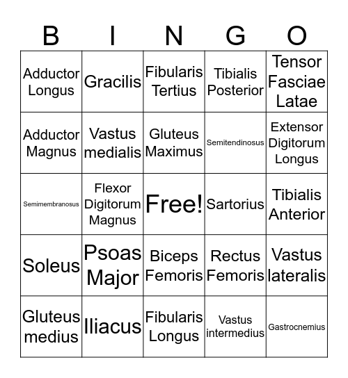 Muscle List #3 Bingo Card