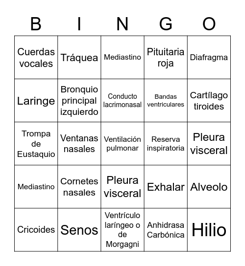 Sistema respiratorio Bingo Card