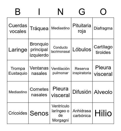 Sistema respiratorio Bingo Card