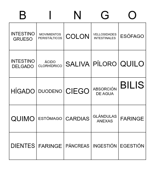 Bingo digestivo Bingo Card