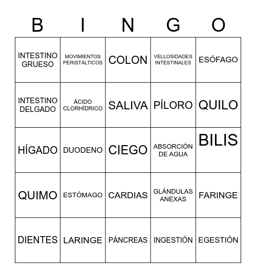 Bingo digestivo Bingo Card