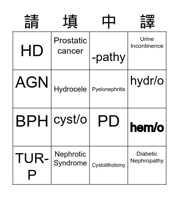 12/28__醫學術語C 腎臟/泌尿系統   姓名_______ Bingo Card