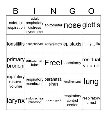 The Respiratory System Bingo Card