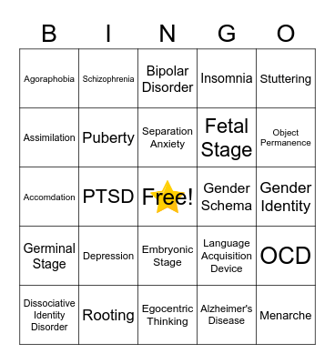 Disorders and Development Bingo Card