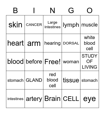 Word Parts Anatomy Bingo Card