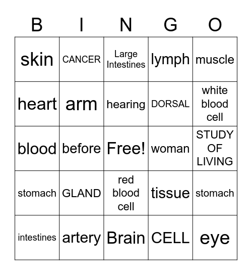 Word Parts Anatomy Bingo Card